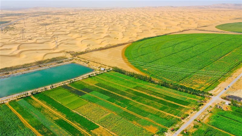 الصحراء المصرية ..