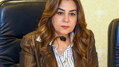 وزيرة التنمية المحلية: بدء التشغيل التجريبي لمجمع مجازر السويس