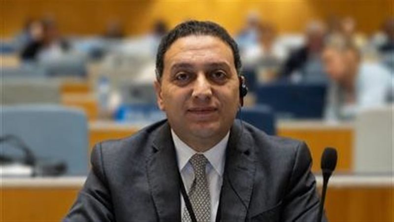المستشار محمد عادل