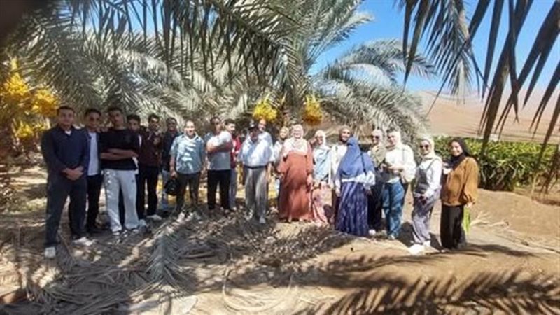 قوافل جامعة قناة