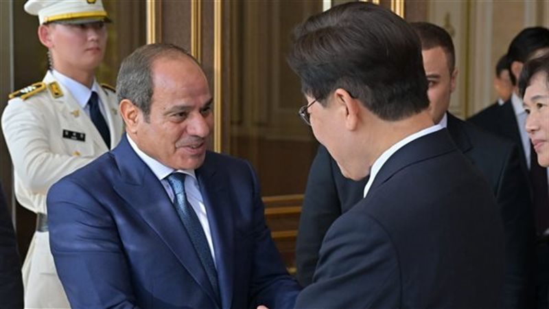 الرئيس السيسي ونظيره