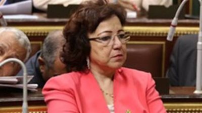 فهيم: هناك محاولات خبيثة لاستهداف الهوية المصرية