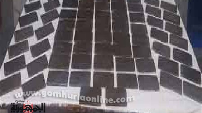 المضبوطات