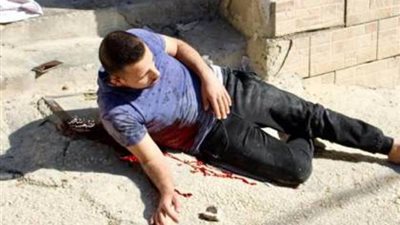 بالفيديو.. لحظة استشهاد فلسطيني أعزل برصاص القوات الإسرائيلية.. والمبعوث الأممي: صادم