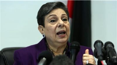 عشراوى تبحث مع وفود دبلوماسية العدوان الإسرائيلى المتصاعد على غزة