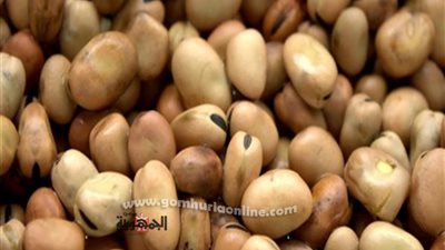 ضبط 3275 كيلو فول مسوس بكرموز