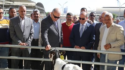 محافظ قنا :خطة طموحة لتطوير مشروعات الأمن الغذائي