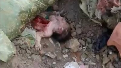 الدقهلية.. العثور على بقايا جثة طفل حديث الولادة نهشتها الكلاب