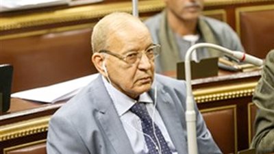 ابنة النائب الراحل السيد حسن موسى تستكمل مدة والدها فى البرلمان