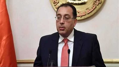 بالانفوجراف..6 جامعات مصرية ضمن تصنيف الجامعات الخضراء الصديقة للبيئة