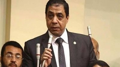 حسنى حافظ : انخفاض الدولار يتطلب الرقابة على الاسواق لخفض الاسعار