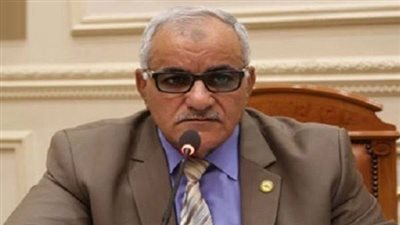 الحسيني: نصوص انتخابات المحليات بالقانون الجديد منقولة من الدستور
