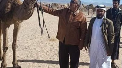 رئيس طور سيناء يتابع فاعليات مهرجان الهجن العشرين.صور