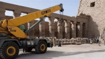 تحرك برلماني جديد في نقل 4 كباش من الأقصر إلى ميدان التحرير