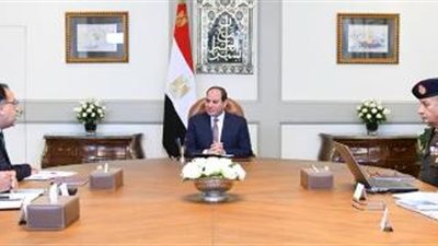السيسي يبحث تدابير مكافحة الإرهاب وملف سد النهضة
