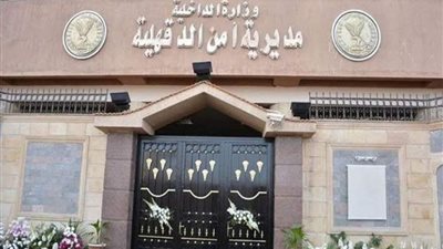 تكثيف التحريات للقبض على المتحرشين في احتفالات رأس السنة بالمنصورة