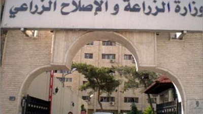 الزراعة تعلن توفير رؤوس ماشية مستوردة لمساعدة صغار المربين