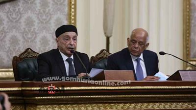 رئيس مجلس النواب: مصر لا تقدم الحلول العسكرية على الحلول السياسية