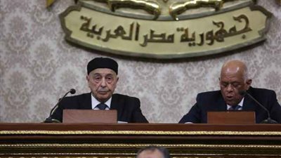 عبد العال لرئيس النواب الليبي: