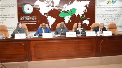 د.مايا مرسى: انشاء منظمة تنمية المرأة يفتح مجالات التعاون حول قضايا النساء بين الدول الأعضاء