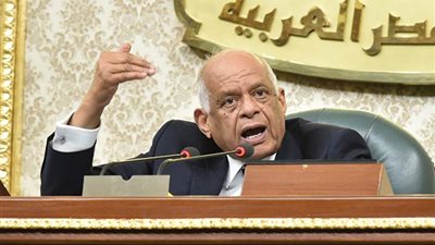 رئيس النواب: لن نتحول للدعم النقدي إلا بالنقاش مع البرلمان.. والعيني لايزال مستمراً