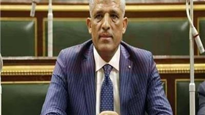 مقدم استجواب وزيرة الصحة: السيسي نموذج للعمل والوزراء بيكبروا دماغهم