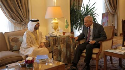 أبو الغيط يلتقي أمين عام مجلس حكماء المسلمين بالقاهرة