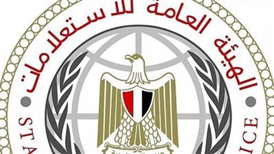 هيئة الاستعلامات: لا وجود قانونياً لوكالة الأناضول في مصر