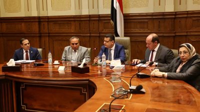 سلامة: المؤسسات الصحفية لها دور كبير في مواجهة الإرهاب ودعمها ضروري