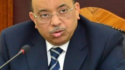وزير التنمية المحلية:الرئيس يلتقى نواب المحافظين يونيو المقبل