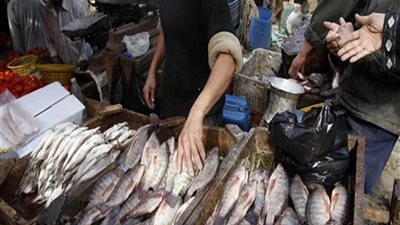 ارتفاع أسعار الأسماك في الكريسماس