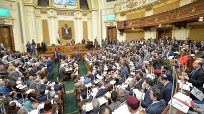 نائب: الثروة الحيوانية في خطر بسبب تزايد الأدوية البيطرية المغشوشة