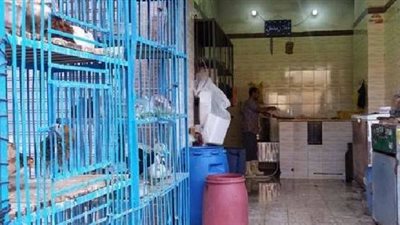 محل فراخ سبب صرخة أهالى بفاقوس