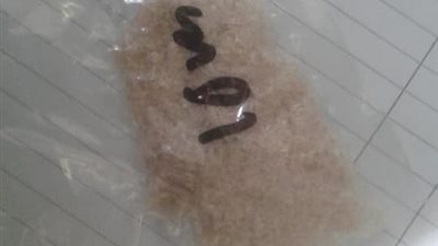 جمارك الطرود البريدية تضبط 4 محاولات تهريب مواد مخدرة ونقد أجنبى