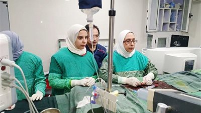 خبير ألمانى لجراحات القلب الحرجة بالتنسيق بين جمعية الاورمان وجامعة طنطا