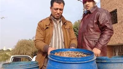 بالصور.. ضبط كميات من المخللات المتعفنة بالإسماعيلية