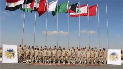 17 تدريبا عسكريا مشتركا و 9 تدريبات بحرية عابرة للقوات المسلحة المصرية