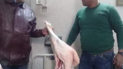 بالصور.. ضبط لحوم مذبوحة خارج المجازر الحكومية بالإسماعيلية