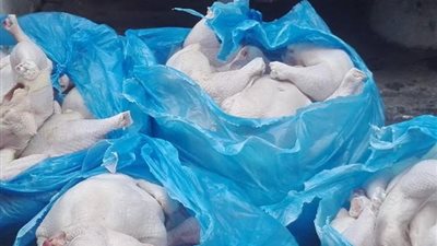 ضبط دواجن ولحوم فاسدة داخل مطاعم شهيرة بالاسماعيلية