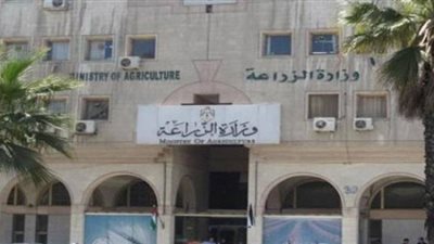 الزراعة تواصل مكافحة سوسة النخيل لحماية 20 مليون نخلة