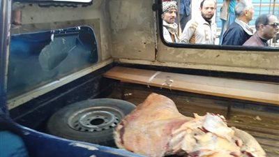 مصادرة اللحوم الفاسدة بشنبارة بمركز الزقازيق