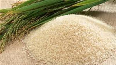 السلع التموينية تطرح مناقصة جديدة لاستيراد الأرز