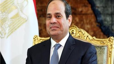الشهابى : زيارة الرئيس للاردن لها أثر كبير في تحقيق الأمن العربى