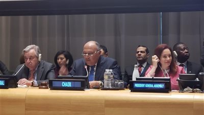 وزير الخارجية يؤكد على الدور القيادي لمجموعة ال77 في جهود إصلاح الأمم المتحدة