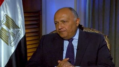شكري يلتقي الممثلة العليا للأمم المتحدة لشئون نزع السلاح
