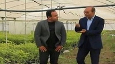 النهر الأخضر أمل مصر في زراعة أشجار الماهوجني عالية القيمة.. فيديو