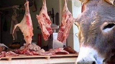 إعدام 6 اطنان من لحوم الحمير المذبوحه بشبرا الخيمة قبل ترويجها بالاسواق