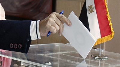 انتخابات النواب التكميلية فى زفتى بالغربية تعلن فوز 