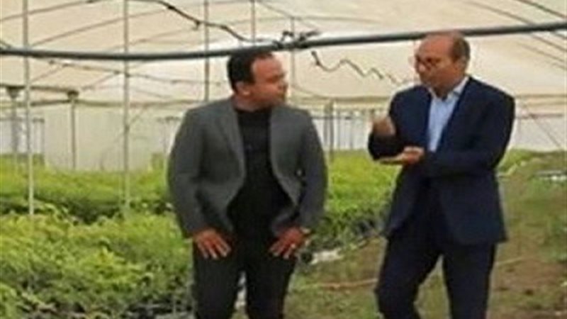 الإعلامى محمد غانم