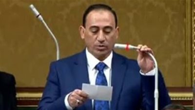 نائب: ملتقيات التوظيف عامل أساسي في علاج البطالة والحد من الهجرة غير الشرعية